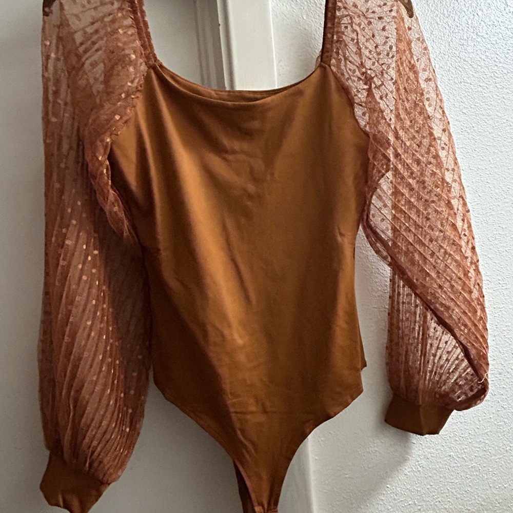 Bronze Bodysuit with Sheer Sleeves
